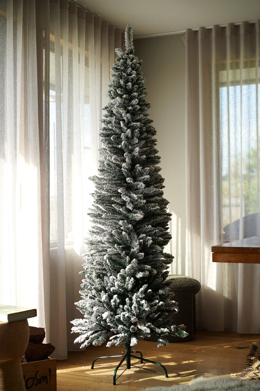 Snowy Pencil Pine – The Elegance of Winter (2.1M)