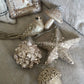 Glistening Elegance Ornament Set (Set of 6)