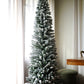 Snowy Pencil Pine – The Elegance of Winter (2.1M)